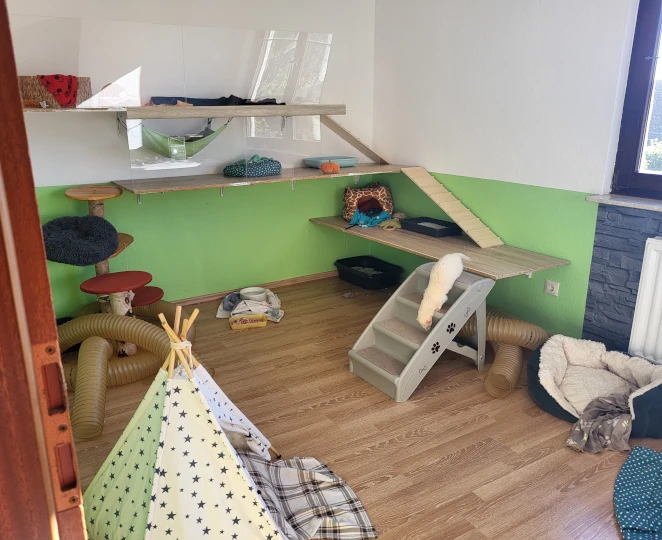 Ein neues Zimmer für die Bande Teil 2