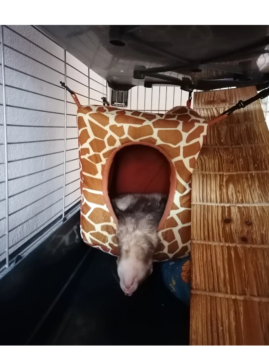 Ein neues Zimmer für die Bande Teil 1
