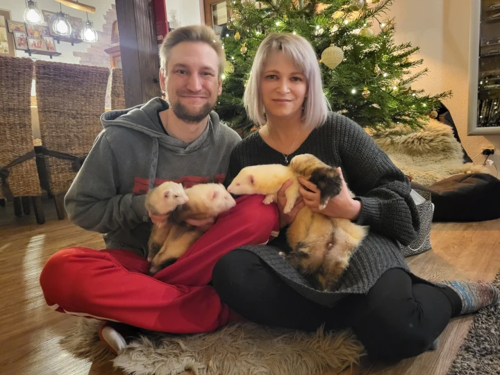 Familienfoto unterm Weihnachtsbaum – Teil zwei