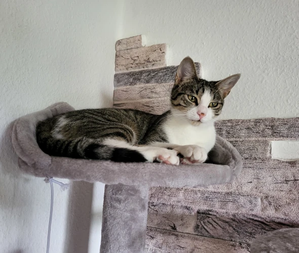 Elfi büchst aus